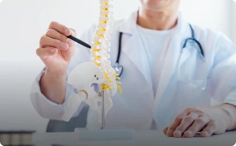 A doctor uses a pen to point at a spine model for annuloplasty